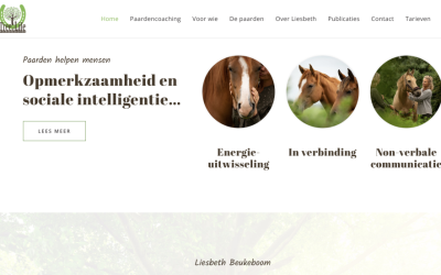 Tree of Life Paardencoaching